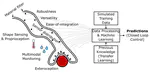A Survey on Soft Robot Adaptability - Implementations, Applications, and Prospects