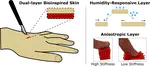 Controllable Wound Closure in Artificial Skins using Dual-Layer Bioinspired Mechanism