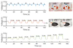 Composite Stretchable Sensors for the Detection of Asymmetric Deformations in a Soft Manipulator